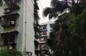 东光街东苑实景图