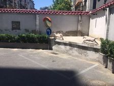 东城2013年商品房落地窗东向视野好