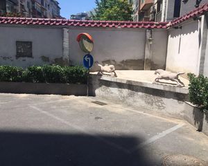 工体3号1室1厅东