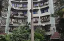 东光街东苑实景图