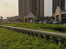 中规楼层,户型方正,朝南,采光充足,带阳台。