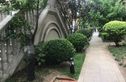 青特城别墅实景图