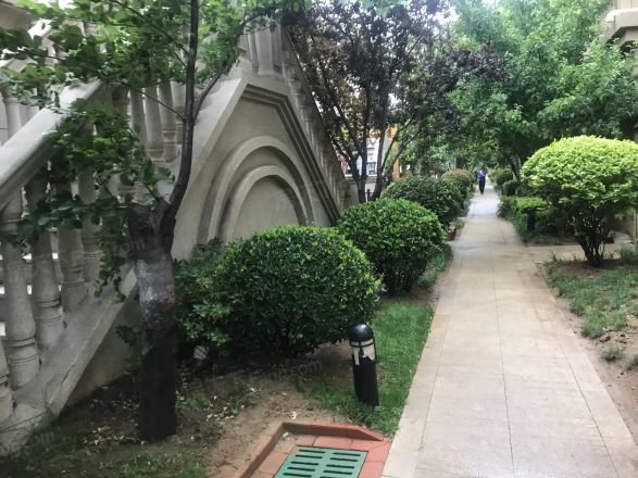青特城别墅实景图