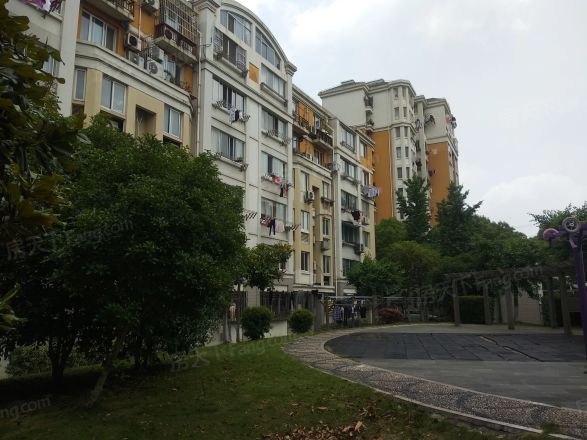 三林世博家园(新浦路251弄)实景图