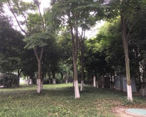 皇经楼新居一期1室1厅东