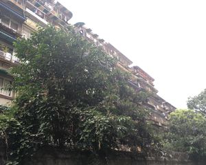 新13号院2室2厅东北
