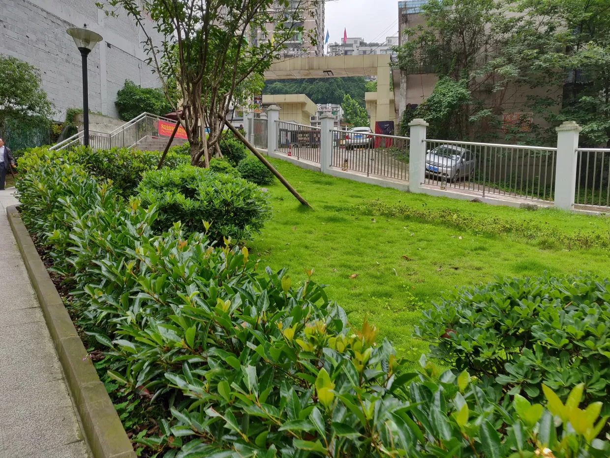 【重庆绿洲华府小区,二手房,租房】- 重庆房天下