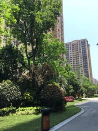 鸥鹏泊雅湾实景图