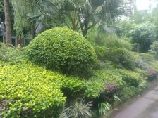 亚丁小镇3室2厅东南