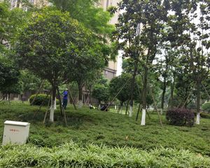 保利城一期3室1厅南