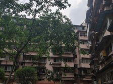 东光街37号 2室1厅 西南