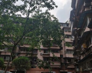 东光街37号2室1厅西南