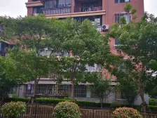 龙科公寓 1室1厅 南