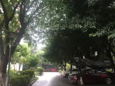 亚热带雅居 1室0厅 东南