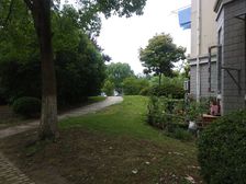 三林·三林世博家园-新浦路251弄·1室·1厅