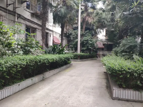 东光街东苑实景图