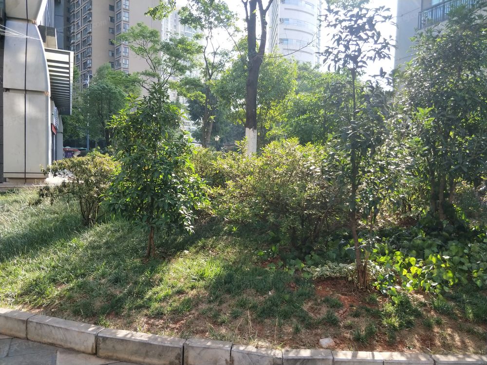 小区相关图