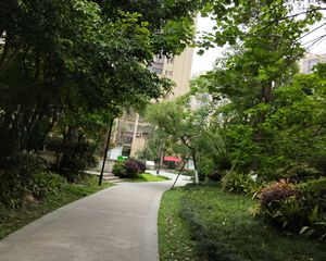 新神风金牛座3室2厅南