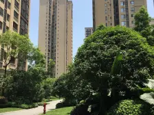 大学城 新鸥鹏泊雅湾二房90万