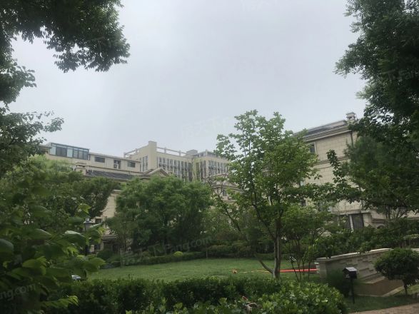青特城别墅实景图