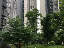 住宅小区商品房,标准两居室,户型好,格局好