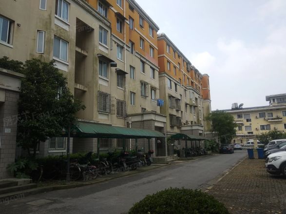 三林世博家园(新浦路251弄)实景图