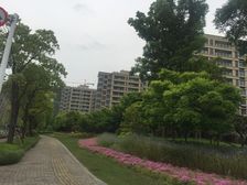 此房开发商精装 地暖 空调 新风系统 户型好