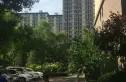 首创新悦都实景图