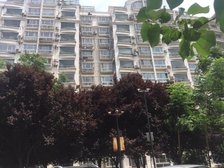 急售广场北舜泰园三室双卫停车免费可议价有钥匙