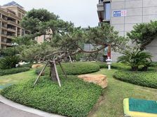 急急急!一线海景急售!越快越好!看房方便