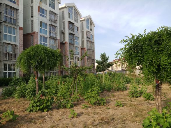 海怡庄园实景图