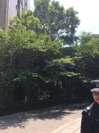 西溪诚园守纯苑实景图