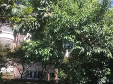 丰盛雅苑 3室2厅 南 北