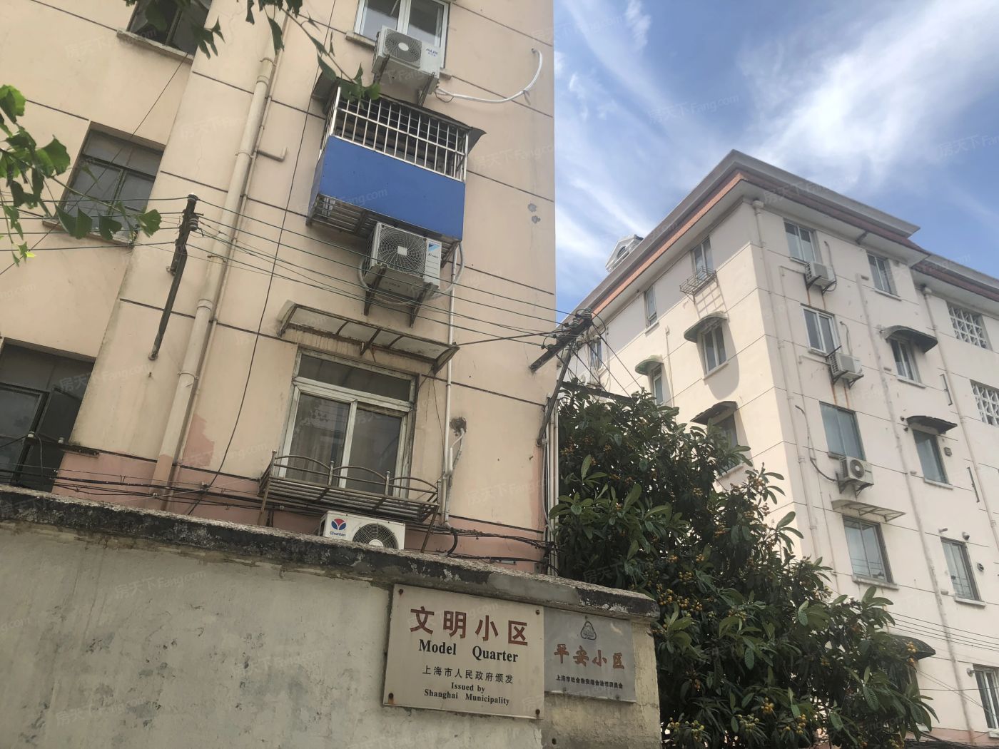 实景图