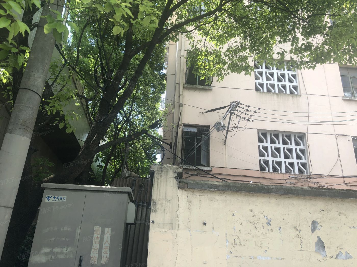 实景图