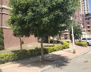 宏都熙景2室1厅南北
