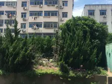 新上好房顶楼带阁楼,黄渡镇上,满五税少,业主诚心卖