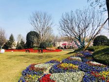 恒大西辰绿洲 3室2厅 西 西北