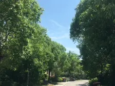 同济旁+安亭品质小区+精装修+仅契税