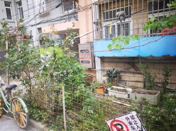 板桥南村东实景图