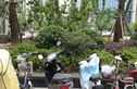 缤格汇公寓实景图