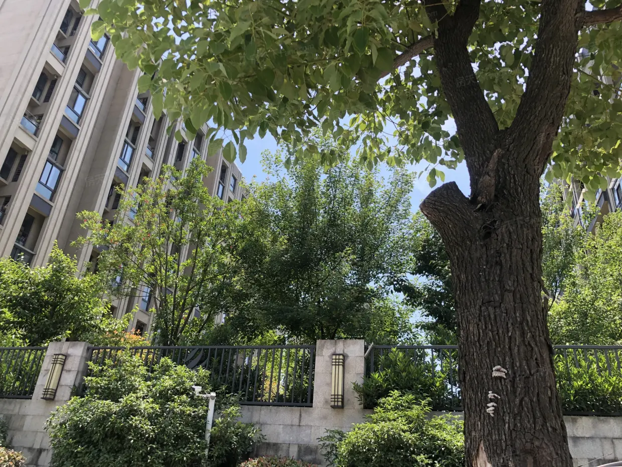 【杭州富力西溪悦居小区,二手房,租房】- 杭州房天下