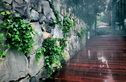 东篱实景图