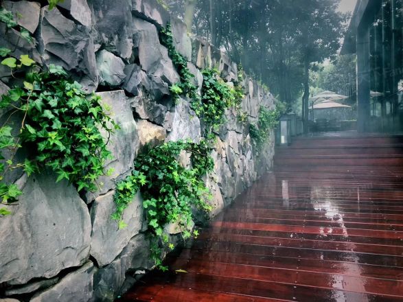 东篱实景图