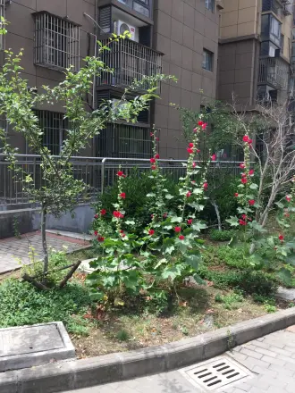 怡景佳园实景图