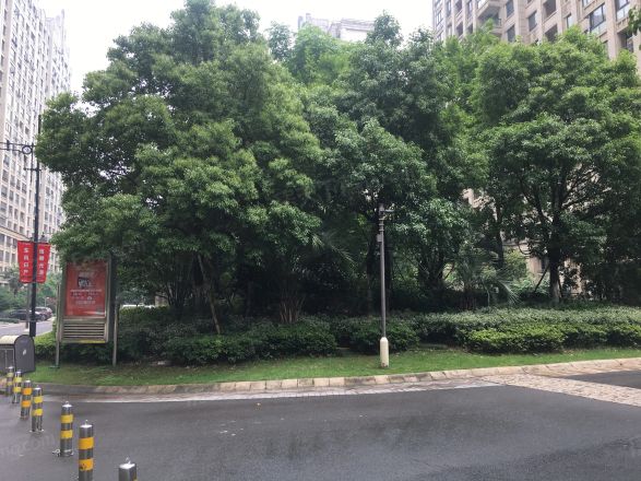 青林湾七期实景图