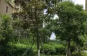怡景佳园实景图