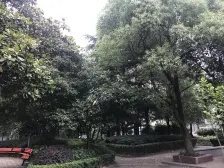 双南大两房!美丽家园小区环境好。