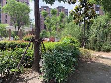 双轨交近地铁低总价大三房,居家装修满五年税少