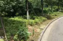 怡景佳园实景图